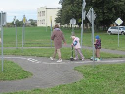 2025-09-26 Biedronki w Chojnie